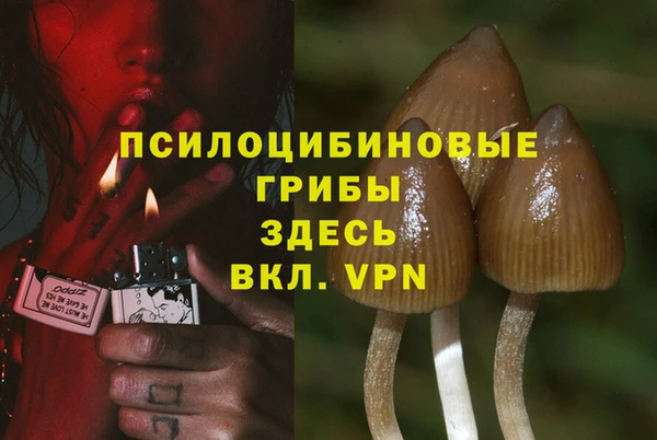СК Алексеевка