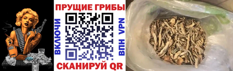 Галлюциногенные грибы MAGIC MUSHROOMS  Любань 